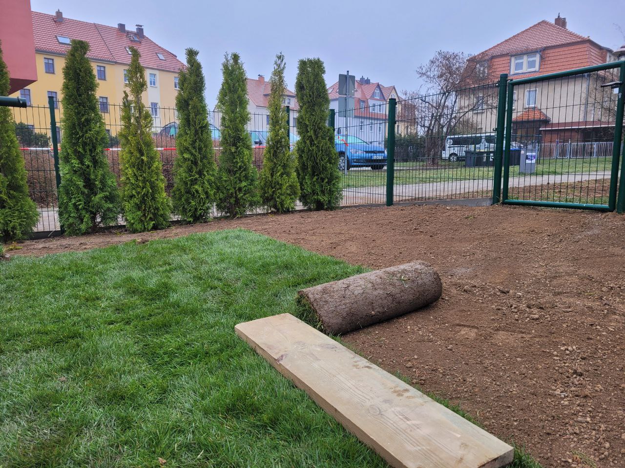 Rollrasen und Hecke